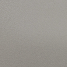 Load image into Gallery viewer, BAM L'Etoile Hightech Oblong Viola Case