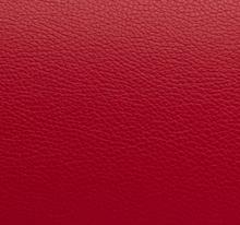 Load image into Gallery viewer, BAM L'Etoile Cabine Alto Sax Case
