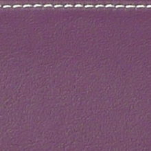 Load image into Gallery viewer, BAM L'Etoile Hightech Tenor Trombone Case