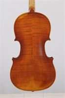 Load image into Gallery viewer, WESSEX VIOLIN (V SERIES) AMBER BROWN SET UP