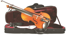 Load image into Gallery viewer, WESTBURY VIOLA OUTFIT