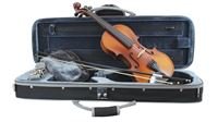 Load image into Gallery viewer, PRIMAVERA LOREATO VIOLIN OUTFIT