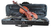 Load image into Gallery viewer, PRIMAVERA 200 ANTIQUED VIOLIN OUTFIT