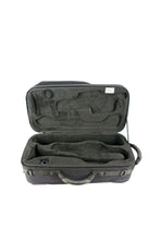 Load image into Gallery viewer, BAM Peak Performance 1 Trumpet Case

