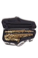 Load image into Gallery viewer, BAM Hightech Alto &amp; Soprano Sax double Case
