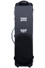 Load image into Gallery viewer, BAM Classic double Clarinet BB/a Case
