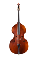 Load image into Gallery viewer, EASTMAN 105 BASS OUTFIT WITH SOLID TOP &amp; BACK
