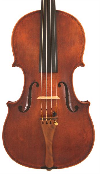 WESSEX MAESTRO VIOLIN (M SERIES) REDDISH BROWN
