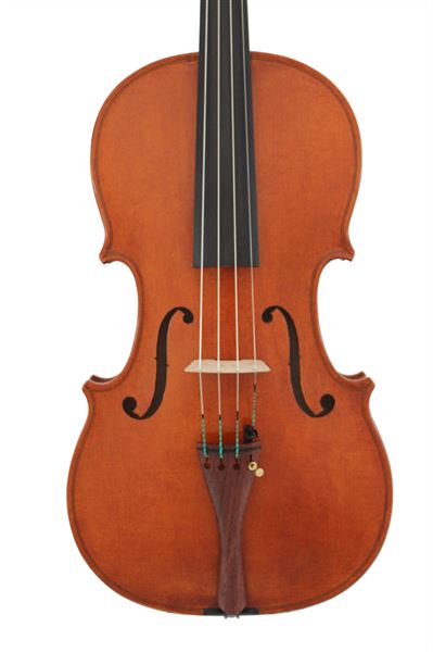 WESSEX VIOLA (XV SERIES) FULLY SET UP