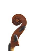Load image into Gallery viewer, WESSEX VIOLA (XV SERIES) FULLY SET UP
