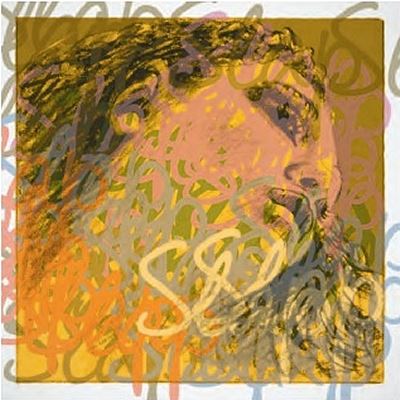 EVAH PIRAZZI SLAP BASS STRINGS